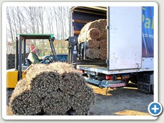 
Carga de pallets para repartos por Espa�a. 
&nbsp;