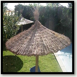 Parasol brezo nacional 