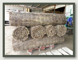 El brezo (BRUC) ofrecido por BRUC GIRONA es cosechado y tejido artesanalmente en Girona